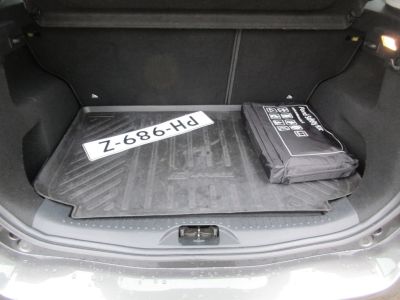 Ford B-MAX 1.6 TI-VCT Titanium, Automaat, Trekhaak, NL auto, APK 10-27